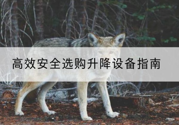 解放升降货梯厂家推荐-*安全选购升降设备指南
