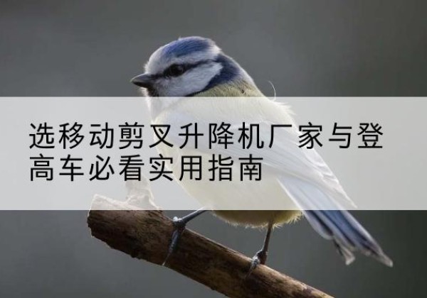 解放电动升降机厂家-选移动剪叉升降机厂家与登高车必看实用指南